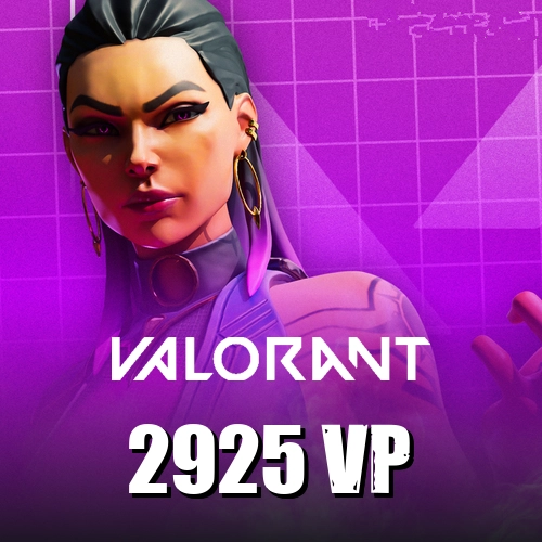 VALORANT 2925 VP